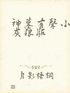 神墓有声小说大灰狼版