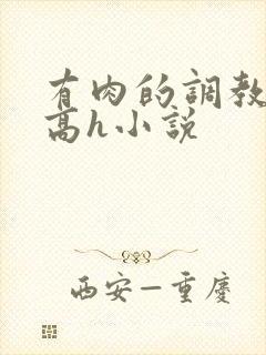 有肉的调教np高h小说