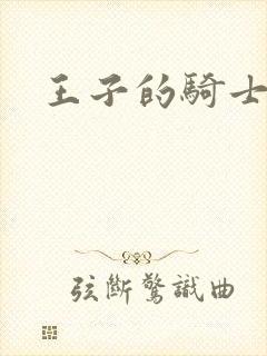 王子的骑士小说封面
