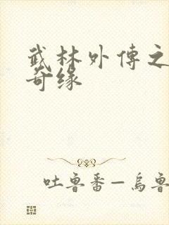 武林外传之同福奇缘