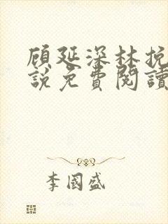 顾延深林挽音小说免费阅读最新章节