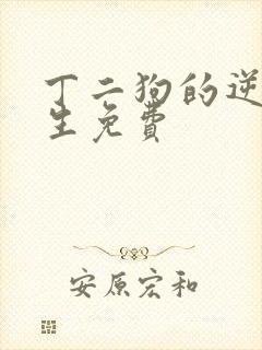 丁二狗的逆袭人生免费