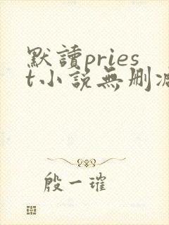 默读priest小说无删减正版在线阅读封面