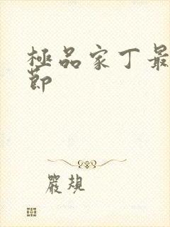 极品家丁最新章节