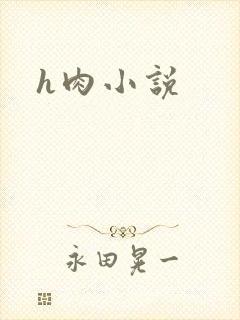 h肉小说