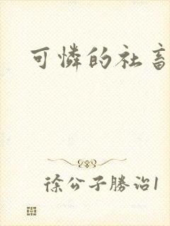 可怜的社畜小说