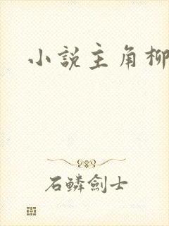 小说主角柳无邪封面