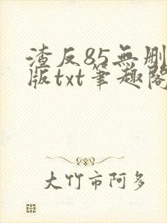 渣反85无删减版txt笔趣阁封面