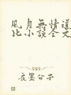 风月无情道比卡比小说全文免费阅读笔趣阁
