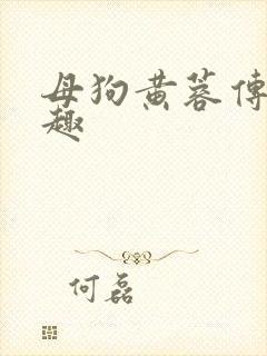 母狗黄蓉传续笔趣