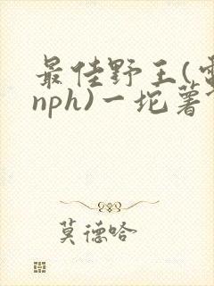 最佳野王(电竞nph)一坨薯饼