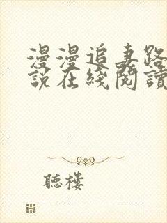 漫漫追妻路 小说在线阅读封面