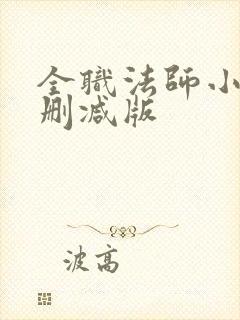 全职法师小说无删减版