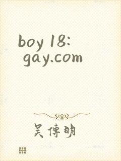 boy 18: gay.com封面