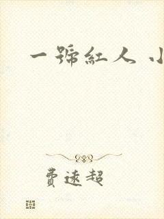 一号红人 小说