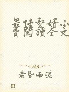 最佳赘婿小说免费阅读全文封面