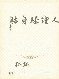 贴身经理人txt封面