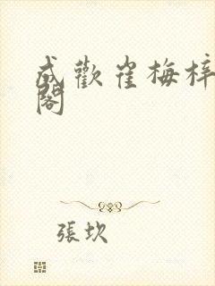 成欢崔梅梓笔趣阁封面