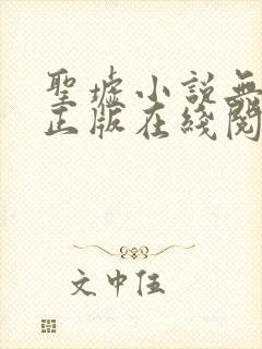 圣墟小说无删减正版在线阅读封面