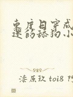 东度日穿成万人迷的舔狗小说免费阅读