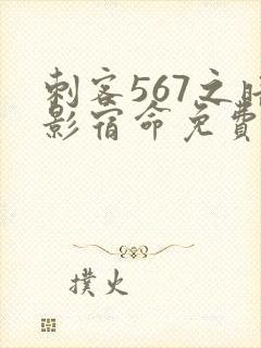 刺客567之暗影宿命免费观看