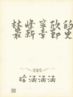 林峰宁欣的小说最新章节更新