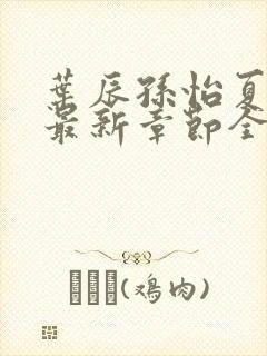 叶辰孙怡夏若雪最新章节全文免费阅读