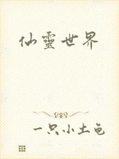 仙灵世界封面