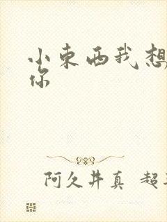 小东西我想弄坏你