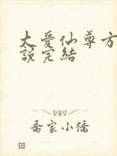大爱仙尊方源小说完结封面