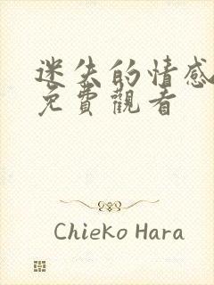 迷失的情感全集免费观看封面