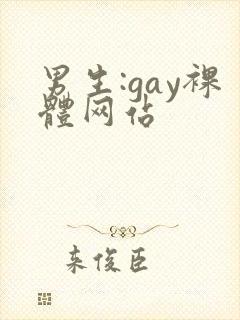 男生:gay裸体网站