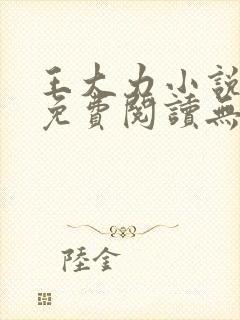 王大力小说小说免费阅读无弹窗