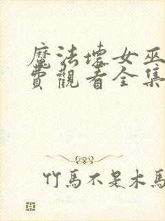 魔法坏女巫1免费观看全集