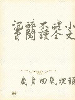 沉醉不醒小说免费阅读全文无弹窗