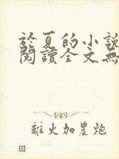 于夏的小说免费阅读全文无弹窗