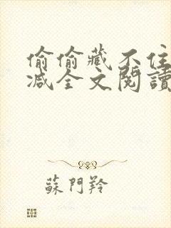 偷偷藏不住无删减全文阅读免费封面