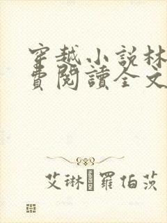 穿越小说林丰免费阅读全文