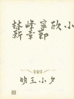 林峰宁欣小说最新章节