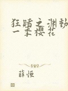 狂赌之渊动漫第一季樱花封面