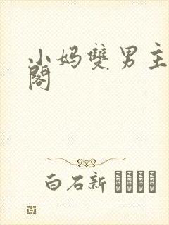 小妈双男主笔趣阁