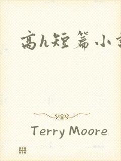 高h短篇小说封面
