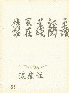 杨军叶轻柔的小说在线阅读