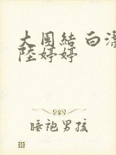 大团结 白洁 陆婷婷封面