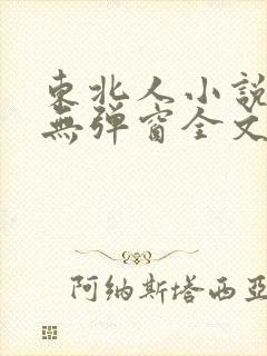 东北人小说免费无弹窗全文阅读