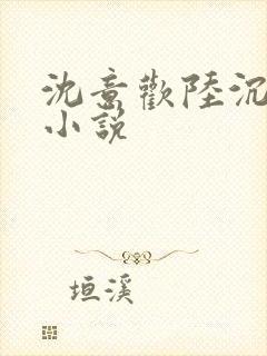 沈意欢陆沉舟的小说