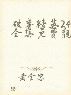 破事精英24集全集免费观看