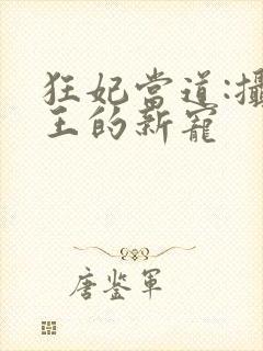 狂妃当道:摄政王的新宠封面