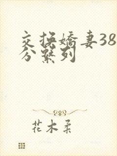 交换娇妻38部分系列封面