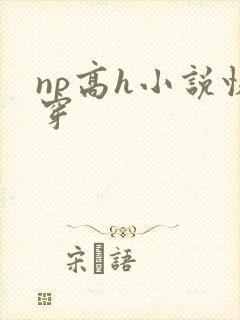 np高h小说快穿